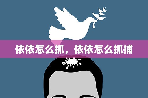 依依怎么抓，依依怎么抓捕