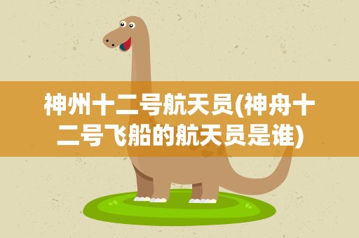 神州十二号航天员(神舟十二号飞船的航天员是谁)