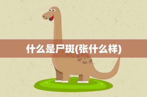 什么是尸斑(张什么样)