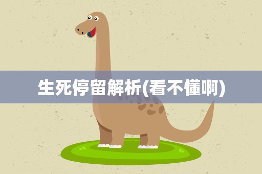 生死停留解析(看不懂啊)