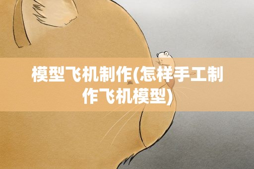 模型飞机制作(怎样手工制作飞机模型)