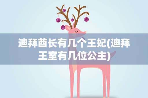 迪拜酋长有几个王妃(迪拜王室有几位公主)