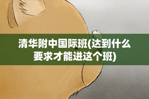 清华附中国际班(达到什么要求才能进这个班)