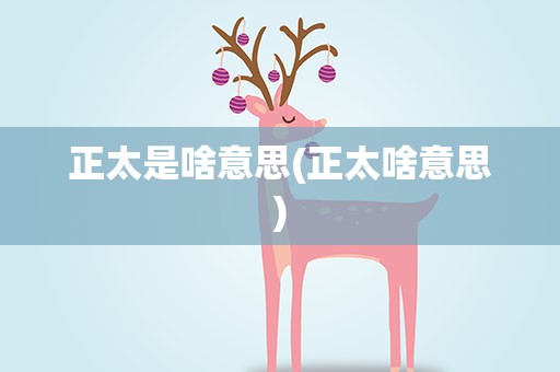 正太是啥意思(正太啥意思)