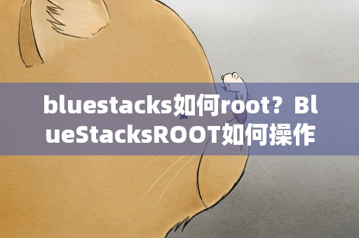 bluestacks如何root？BlueStacksROOT如何操作