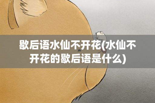 歇后语水仙不开花(水仙不开花的歇后语是什么)