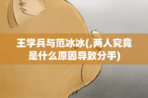 王学兵与范冰冰(,两人究竟是什么原因导致分手)
