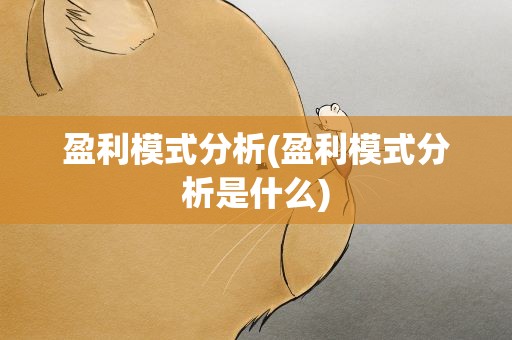 盈利模式分析(盈利模式分析是什么)