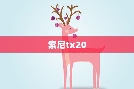 索尼tx20