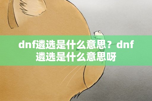 dnf遴选是什么意思？dnf遴选是什么意思呀