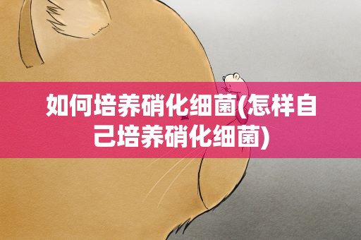 如何培养硝化细菌(怎样自己培养硝化细菌)
