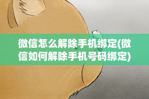 微信怎么解除手机绑定(微信如何解除手机号码绑定)