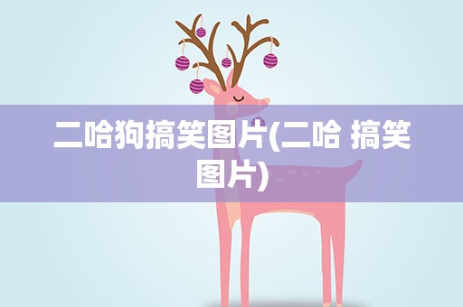 二哈狗搞笑图片(二哈 搞笑图片)