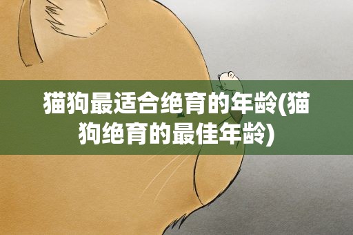猫狗最适合绝育的年龄(猫狗绝育的最佳年龄)