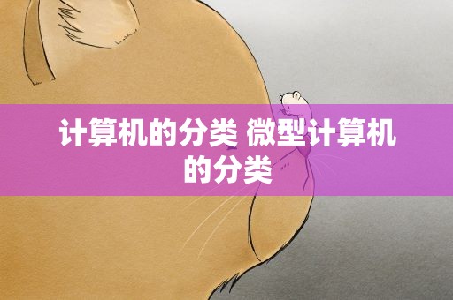 计算机的分类 微型计算机的分类