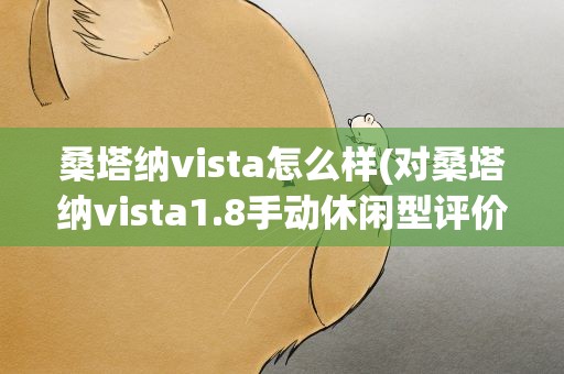 桑塔纳vista怎么样(对桑塔纳vista1.8手动休闲型评价)