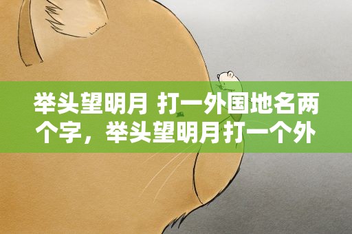 举头望明月 打一外国地名两个字，举头望明月打一个外国地名两个字
