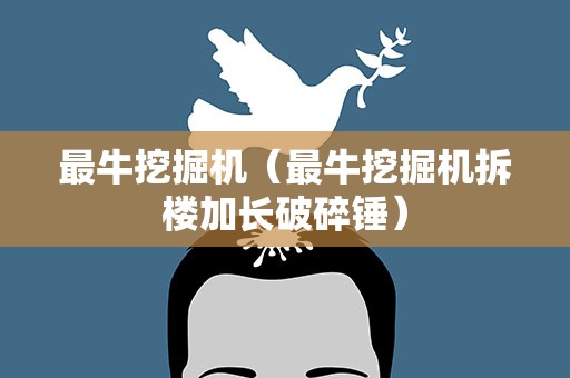 最牛挖掘机（最牛挖掘机拆楼加长破碎锤）