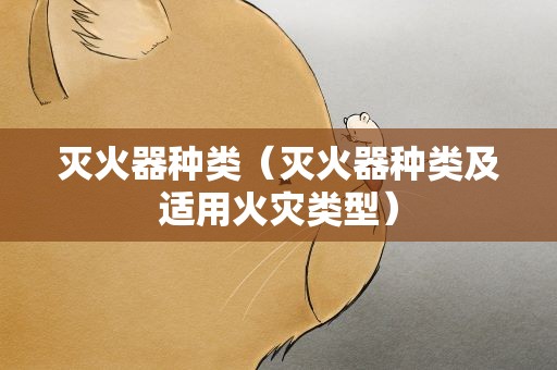 灭火器种类（灭火器种类及适用火灾类型）