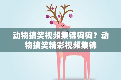 动物搞笑视频集锦狗狗？动物搞笑精彩视频集锦