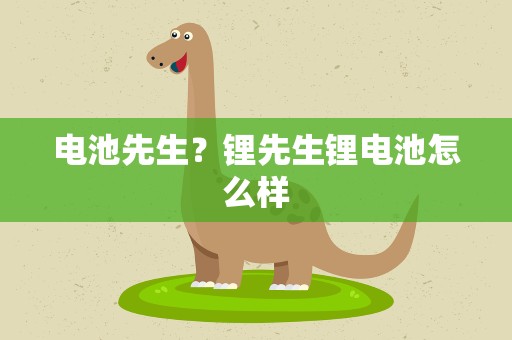 电池先生？锂先生锂电池怎么样