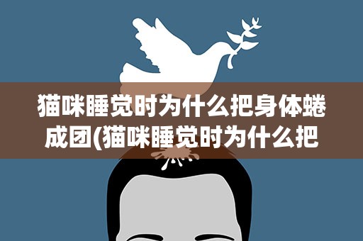 猫咪睡觉时为什么把身体蜷成团(猫咪睡觉时为什么把身体蜷成团呢)