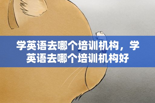 学英语去哪个培训机构，学英语去哪个培训机构好