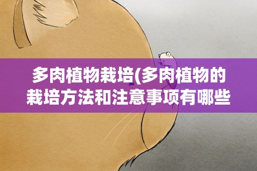 多肉植物栽培(多肉植物的栽培方法和注意事项有哪些)