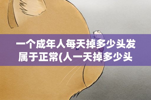 一个成年人每天掉多少头发属于正常(人一天掉多少头发算正常)