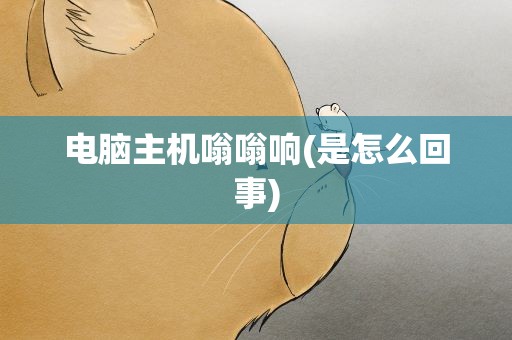 电脑主机嗡嗡响(是怎么回事)