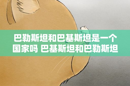 巴勒斯坦和巴基斯坦是一个国家吗 巴基斯坦和巴勒斯坦是一个国家吗