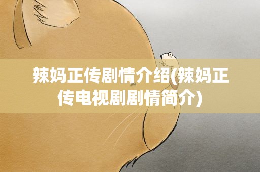 辣妈正传剧情介绍(辣妈正传电视剧剧情简介)