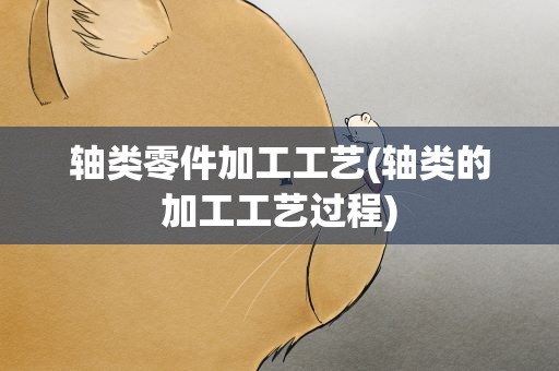 轴类零件加工工艺(轴类的加工工艺过程)