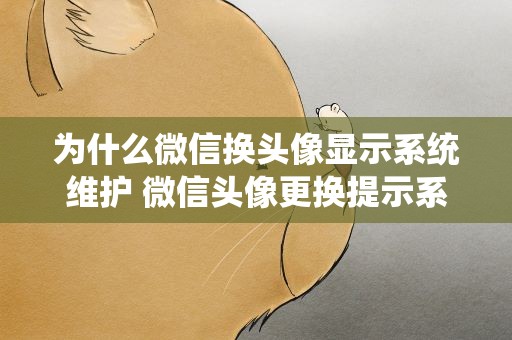 为什么微信换头像显示系统维护 微信头像更换提示系统维护