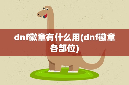 dnf徽章有什么用(dnf徽章各部位)