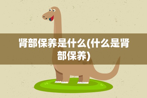 肾部保养是什么(什么是肾部保养)