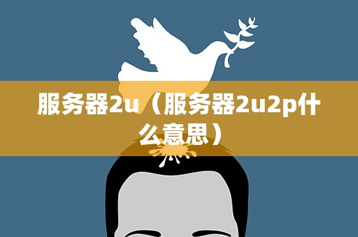 服务器2u（服务器2u2p什么意思）
