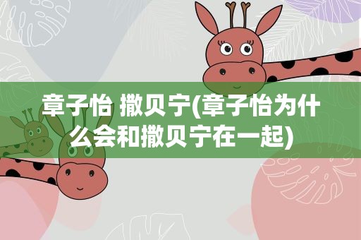 章子怡 撒贝宁(章子怡为什么会和撒贝宁在一起)