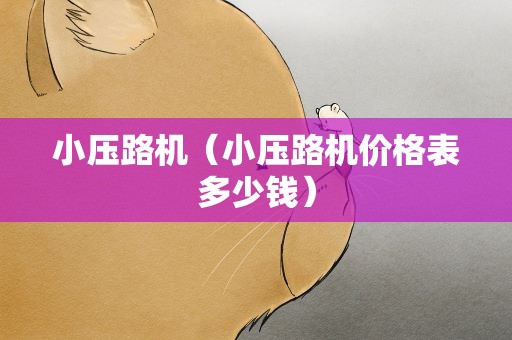 小压路机（小压路机价格表多少钱）