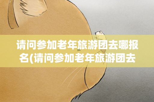 请问参加老年旅游团去哪报名(请问参加老年旅游团去哪报名纯玩)