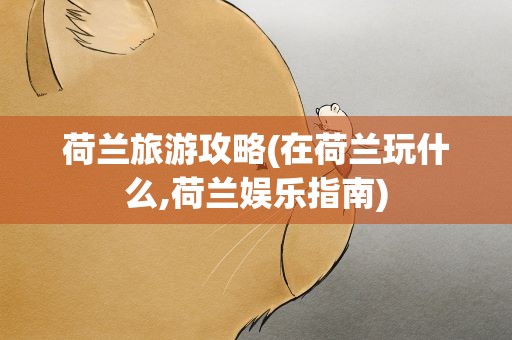 荷兰旅游攻略(在荷兰玩什么,荷兰娱乐指南)