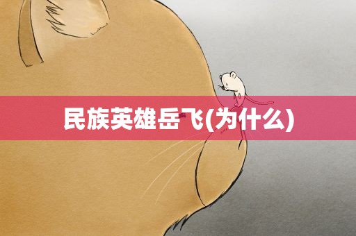 民族英雄岳飞(为什么)