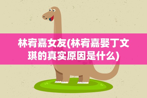 林宥嘉女友(林宥嘉娶丁文琪的真实原因是什么)