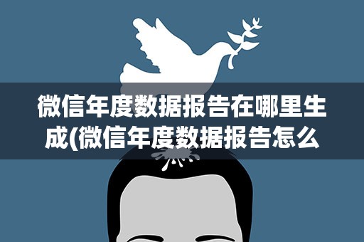 微信年度数据报告在哪里生成(微信年度数据报告怎么查看2021)