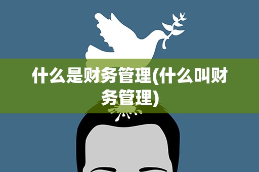 什么是财务管理(什么叫财务管理)