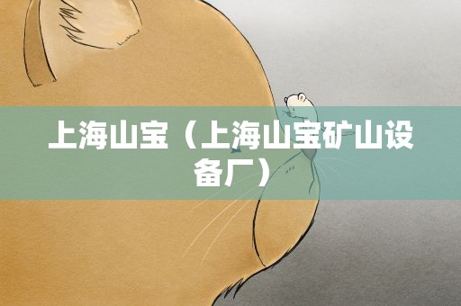 上海山宝（上海山宝矿山设备厂）