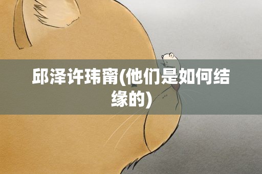 邱泽许玮甯(他们是如何结缘的)