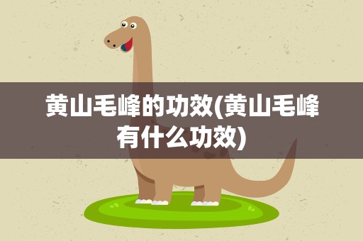 黄山毛峰的功效(黄山毛峰有什么功效)