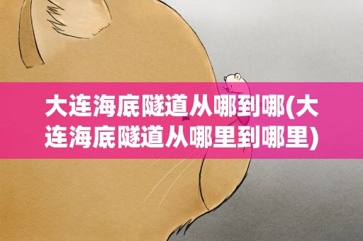 大连海底隧道从哪到哪(大连海底隧道从哪里到哪里)