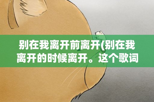 别在我离开前离开(别在我离开的时候离开。这个歌词是哪首歌)